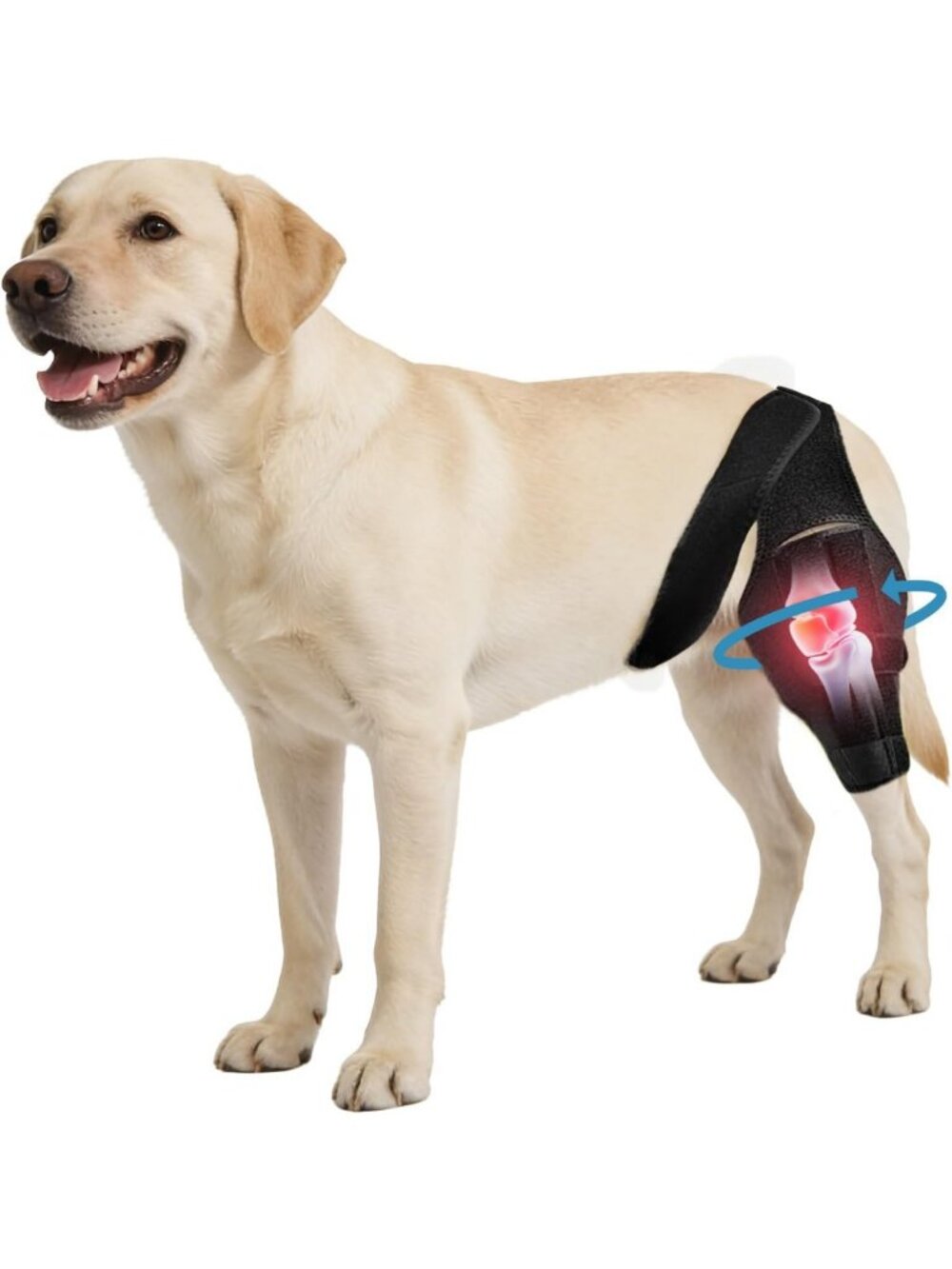 Knee Brace for Dogs - ACL CCL Support, Hind Leg Mobility & Stability Aid
